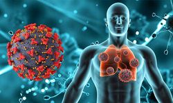 Grip veya Covid-19, zatürreye zemin hazırlayabilir