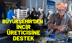 Büyükşehir'den Beydağ incir üreticisine destek