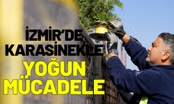 İzmir'de karasinekle yoğun mücadele