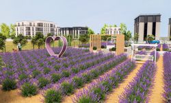 Kemalpaşa'ya Lavanta Parkı geliyor