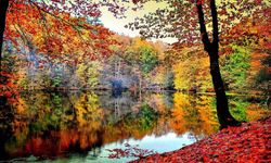 Yedigöller’i 180 bin kişi ziyaret etti