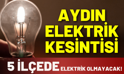 Aydın elektrik kesintisi... 9 Aralık Salı hangi ilçelerde kesinti yapılacak?