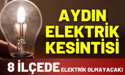 Aydın elektrik kesintisi... 15 Aralık Pazartesi hangi ilçelerde kesinti yapılacak?
