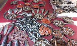 Balığın Faydaları Nelerdir?