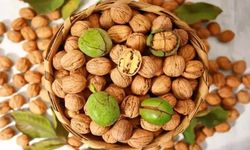 Cevizin Faydaları Nelerdir? Ceviz Tüketmenin Yararları!