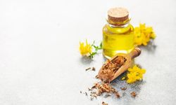 Kantaron Yağı Faydaları Nelerdir? Sarı Kantaron Yağı Ne İşe Yarar?