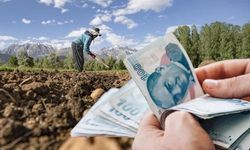 Kooperatiflere 4,5 milyar TL’lik kredi desteği