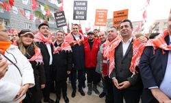 Mandalina üreticileri isyan etti: Üreticiler olarak zor durumdayız