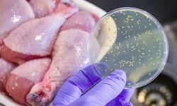 Mutfakta en çok zehirleyen gıda!