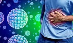 Mide gribi yükselişte! Neden bu kış daha tehlikeli? Norovirüs belirtileri neler?