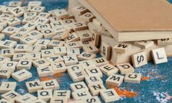 Yılın kelimesi önerileri halk oylamasına açıldı