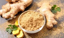 Zencefilin Faydaları Nelerdir? Zencefil Nelere İyi Gelir?