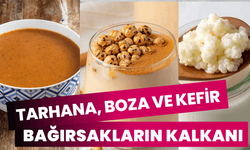 Tarhana, boza ve kefir bağırsakların kalkanı