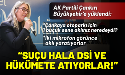 AK Partili Çankırı Büyükşehir'e yüklendi: Suçu hala DSİ ve hükümete atıyorlar!