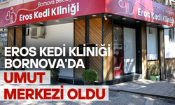 Eros Kedi Kliniği Bornova'da umut merkezi oldu