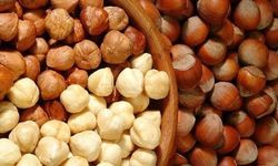 Fındığın Faydaları Nelerdir?