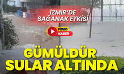 İzmir'in Gümüldür ilçesi sağanak etkisi!