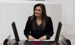CHP'li Sevda Erdan Kılıç: 'Savaşların bedelini kadınlar ve çocuklar ödüyor'
