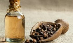 Karanfil Nedir? Karanfilin Faydaları Nelerdir?