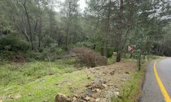 Marmaris’te ağaçlar devrildi, tekne karaya oturdu!