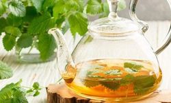 Melisa çayının faydaları nelerdir? Melisa çayı ne işe yarar?