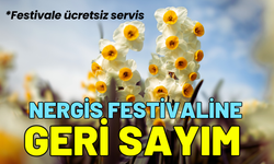 Bayındır Nergis Festival için geri sayım başladı