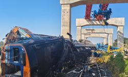 Tayland'da vinç trenin üzerine düştü!