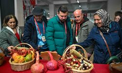 Tohum Takas Şenliği 14 Şubat'ta Merkez Pazaryeri'nde