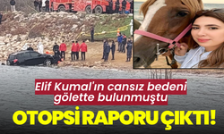 Elif Kumal'ın cansız bedeni gölette bulunmuştu: Otopsi raporu çıktı!