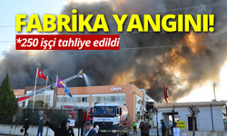 Manisa'da oyuncak fabrikasında yangın