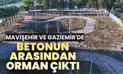 Mavişehir ve Gaziemir'de betonun arasından orman çıktı