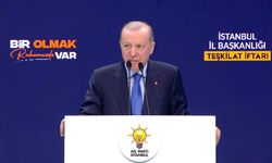 Cumhurbaşkanı Erdoğan: Saldırılardan derin üzüntü ve endişe duyuyoruz