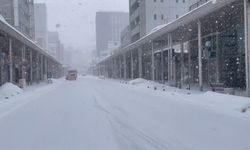 Japonya'da kar yağışı nedeniyle 45 kişi hayatını kaybetti