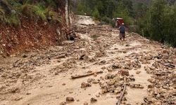 Köyceğiz'de sağanak; evleri su bastı, dereler taştı