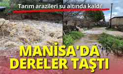 Manisa'da dereler taştı; tarım arazileri su altında kaldı!