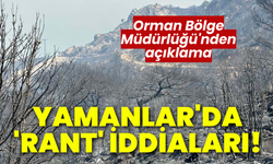 Yamanlar'da 'rant' iddialarına Orman Bölge Müdürlüğü'nden açıklama