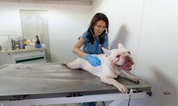 Büyükşehir'den on binlerce cana dokunan seferberlik