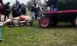 Atlara şiddet uygulayan şüphelilere hayvan barınağında çalışma cezası