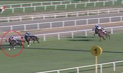 Yarış atı kavurma yapılan iş insanına ceza!