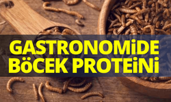 Gastronomide şefler böcek proteinine yöneliyor!