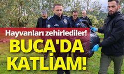 Buca'da hayvanlar zehirlendi: Başkan Duman hukuki süreci başlattıı!