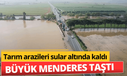 Büyük Menderes Nehri taştı, tarım arazileri sular altında kaldı