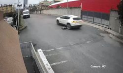 Vicdansız sürücü köpeği ezdi, yoluna devam etti!