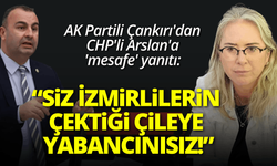 AK Partili Çankırı'dan CHP'li Arslan'a 'mesafe' yanıtı: Siz İzmirlilerin çektiği çileye yabancısınız!