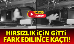 Hırsızlık için gitti, fark edilince kaçtı!