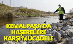 Kemalpaşa'da haşerelere karşı mücadele