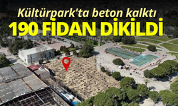 Kültürpark'ta beton kalktı, 190 fidan dikildi