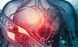 Sadece kolesterol başlı başına bir problem!