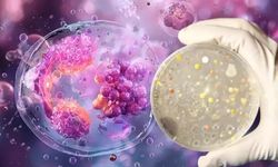 Otizmde bakteri düzeni hayat değiştiriyor!