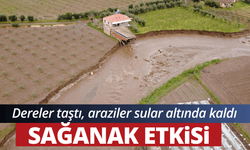 Dereler taştı, tarım arazileri sular altında kaldı
